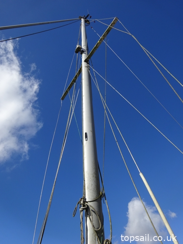 Kingfisher 20