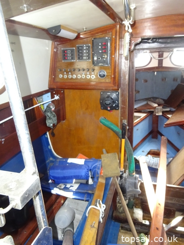 Kingfisher 20