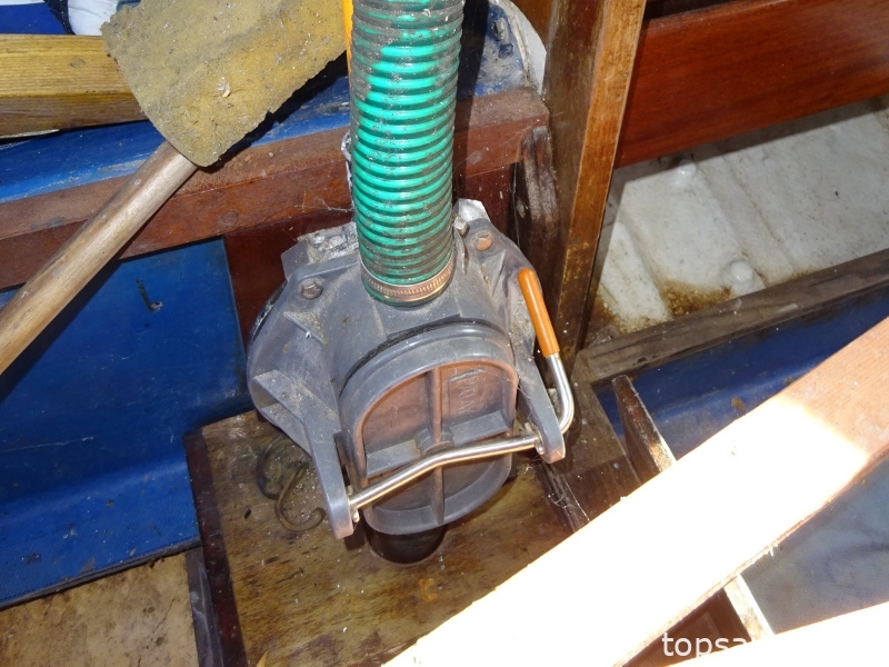 Kingfisher 20